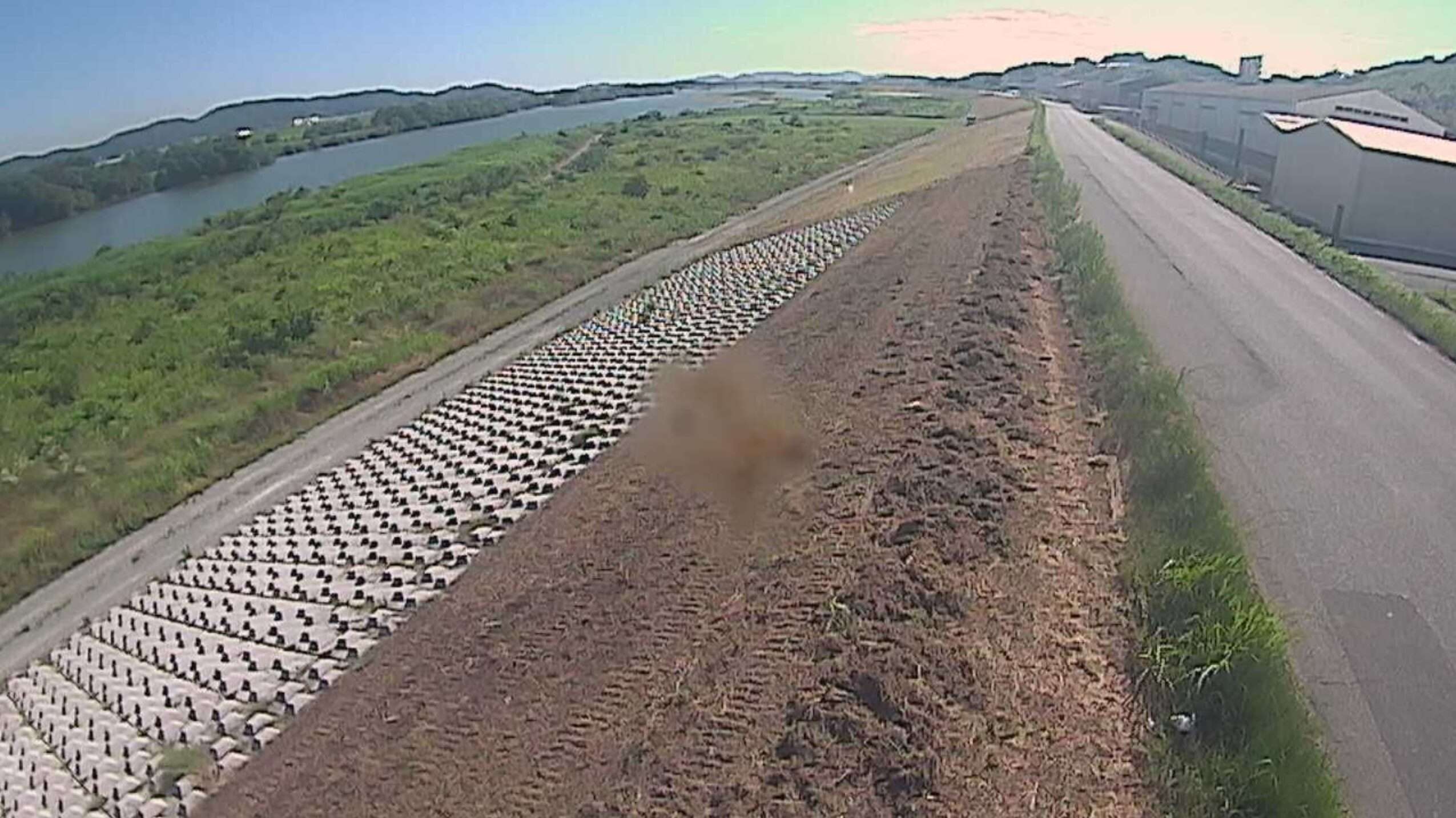 高梁川8.24KP右岸ライブカメラ(岡山県倉敷市船穂町水江)