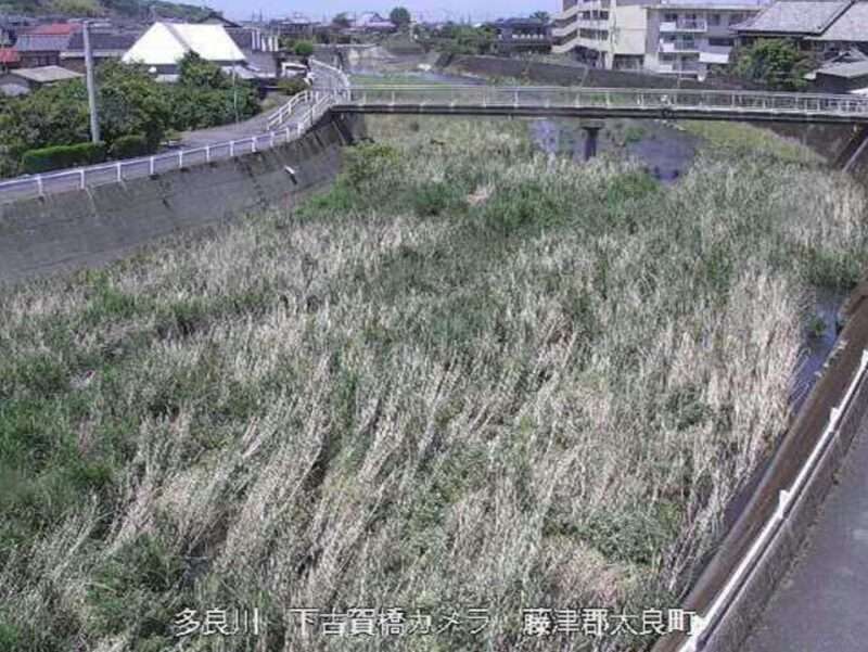 多良川下古賀橋ライブカメラ(佐賀県太良町多良)