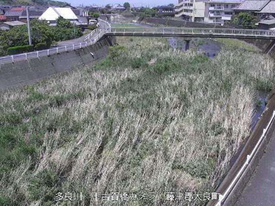多良川下古賀橋ライブカメラ(佐賀県太良町多良)