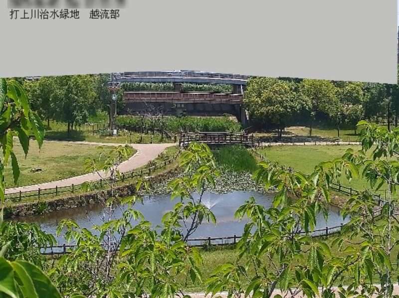 打上川治水緑地越流部ライブカメラ(大阪府寝屋川市太秦桜が丘)