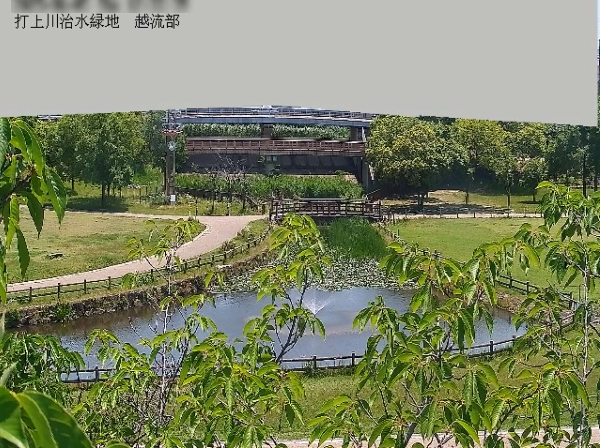 打上川治水緑地越流部ライブカメラ(大阪府寝屋川市太秦桜が丘)