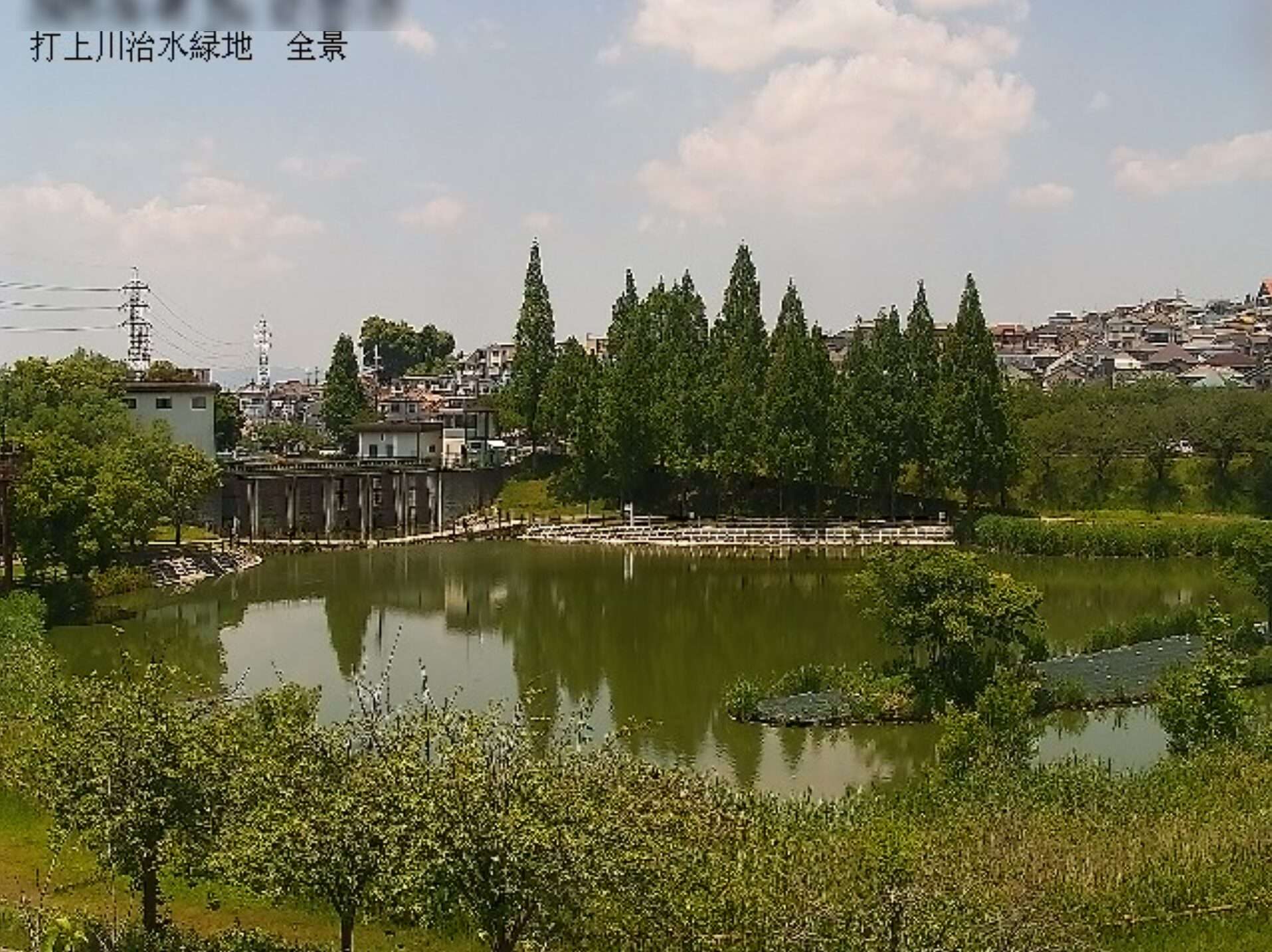打上川治水緑地全景ライブカメラ(大阪府寝屋川市太秦桜が丘)