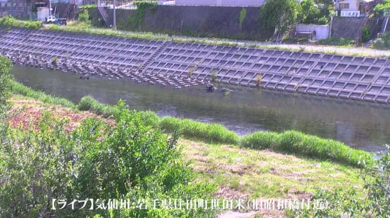 気仙川旧昭和橋ライブカメラ(岩手県住田町世田米川向)