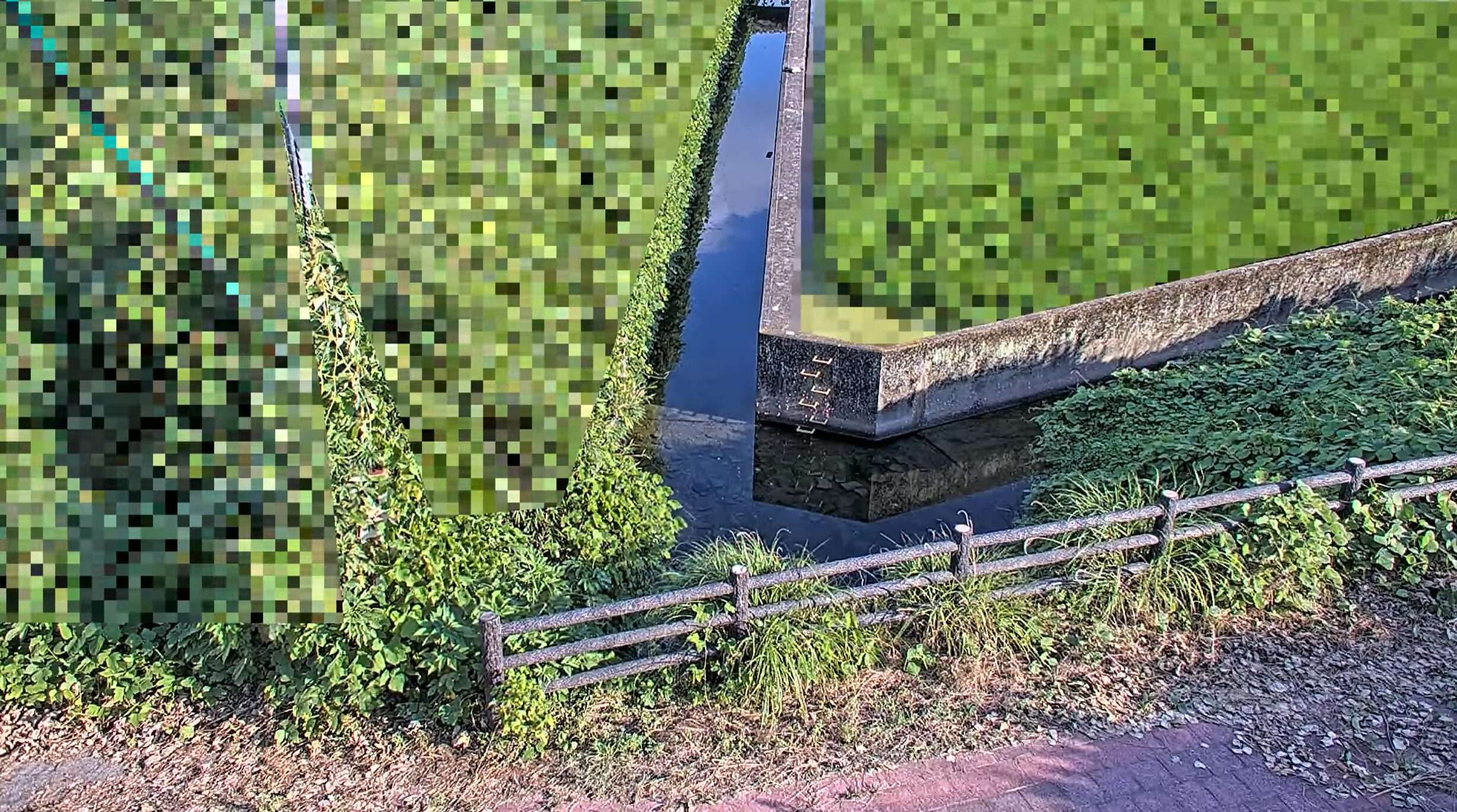 貴志川流域前田地区ライブカメラ(和歌山県紀の川市貴志川町前田)