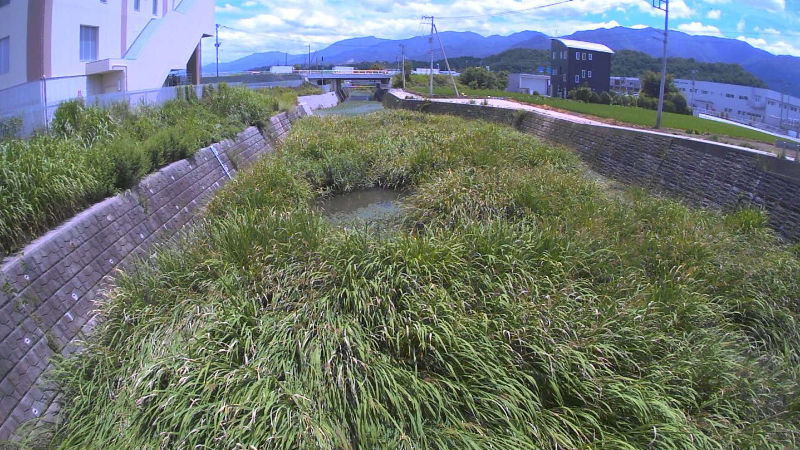 間門川新大堀川橋ライブカメラ(山梨県甲府市下曽根町)