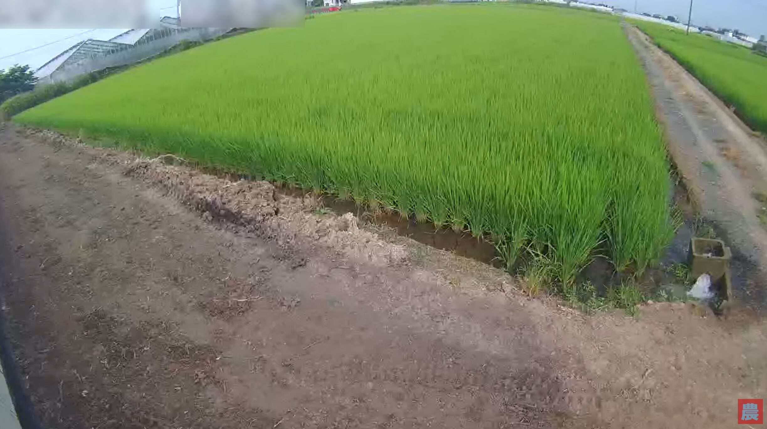みえる農業北川辺ライブカメラ(埼玉県加須市柳生)