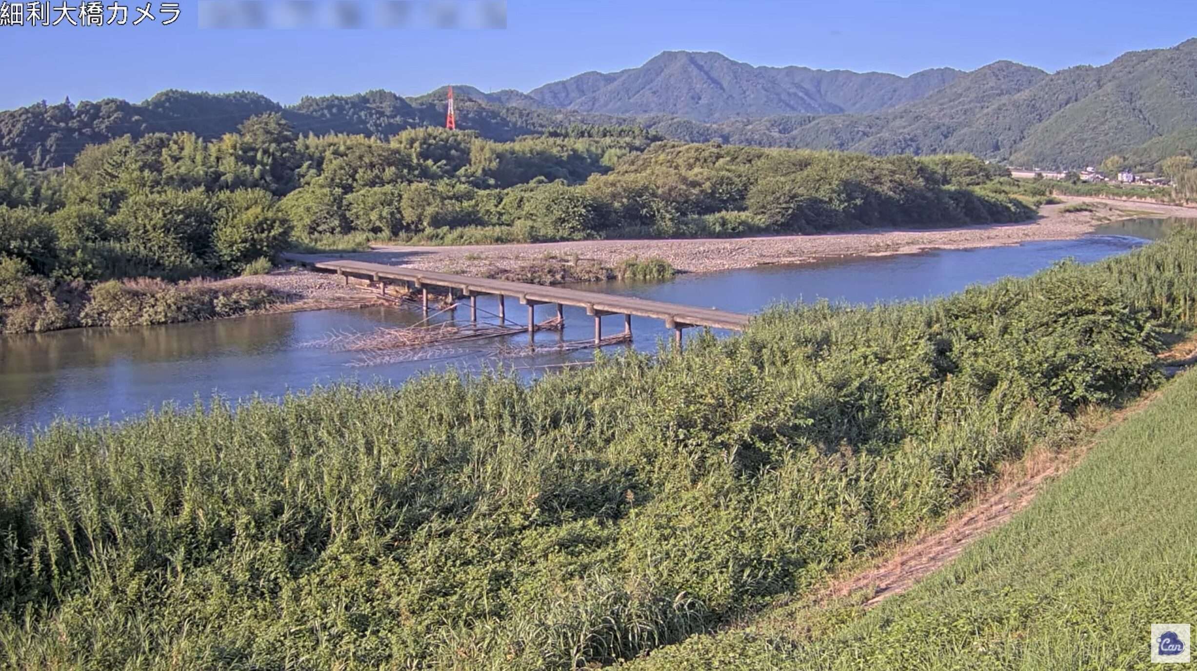 アイキャン錦川細利大橋ライブカメラ(山口県岩国市下)