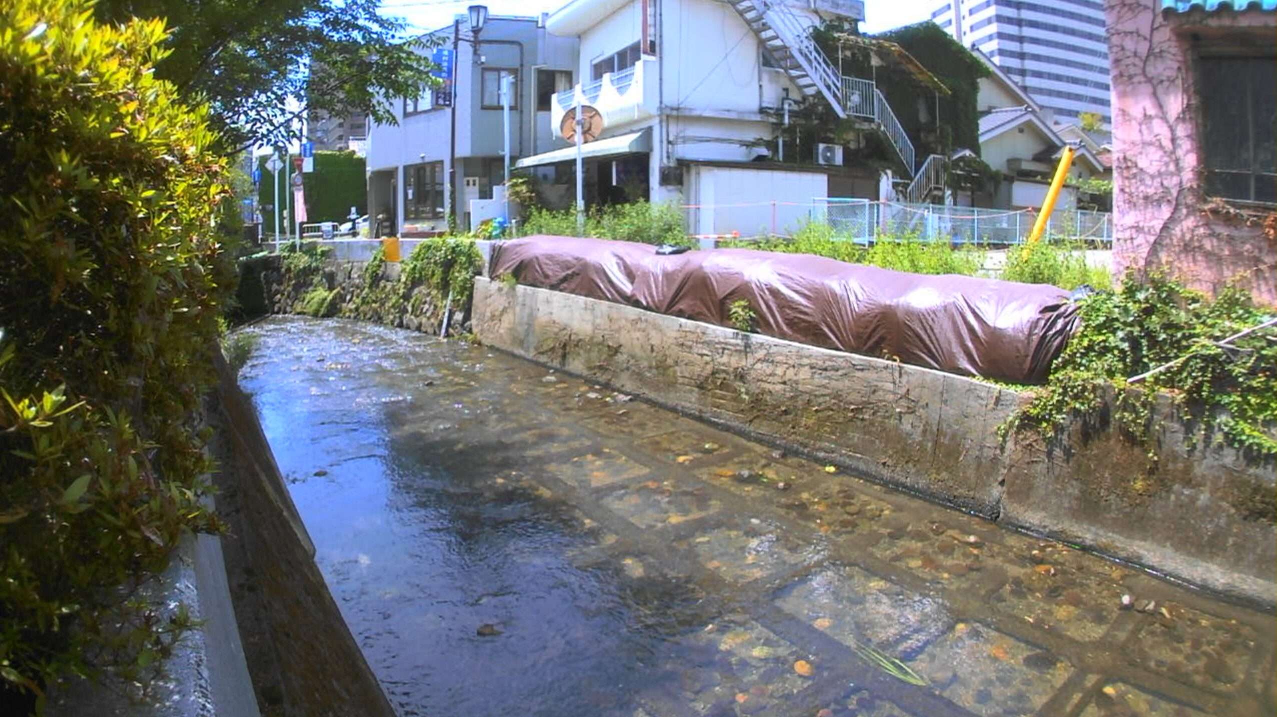 湯川湯川橋ライブカメラ(山梨県甲府市湯村)