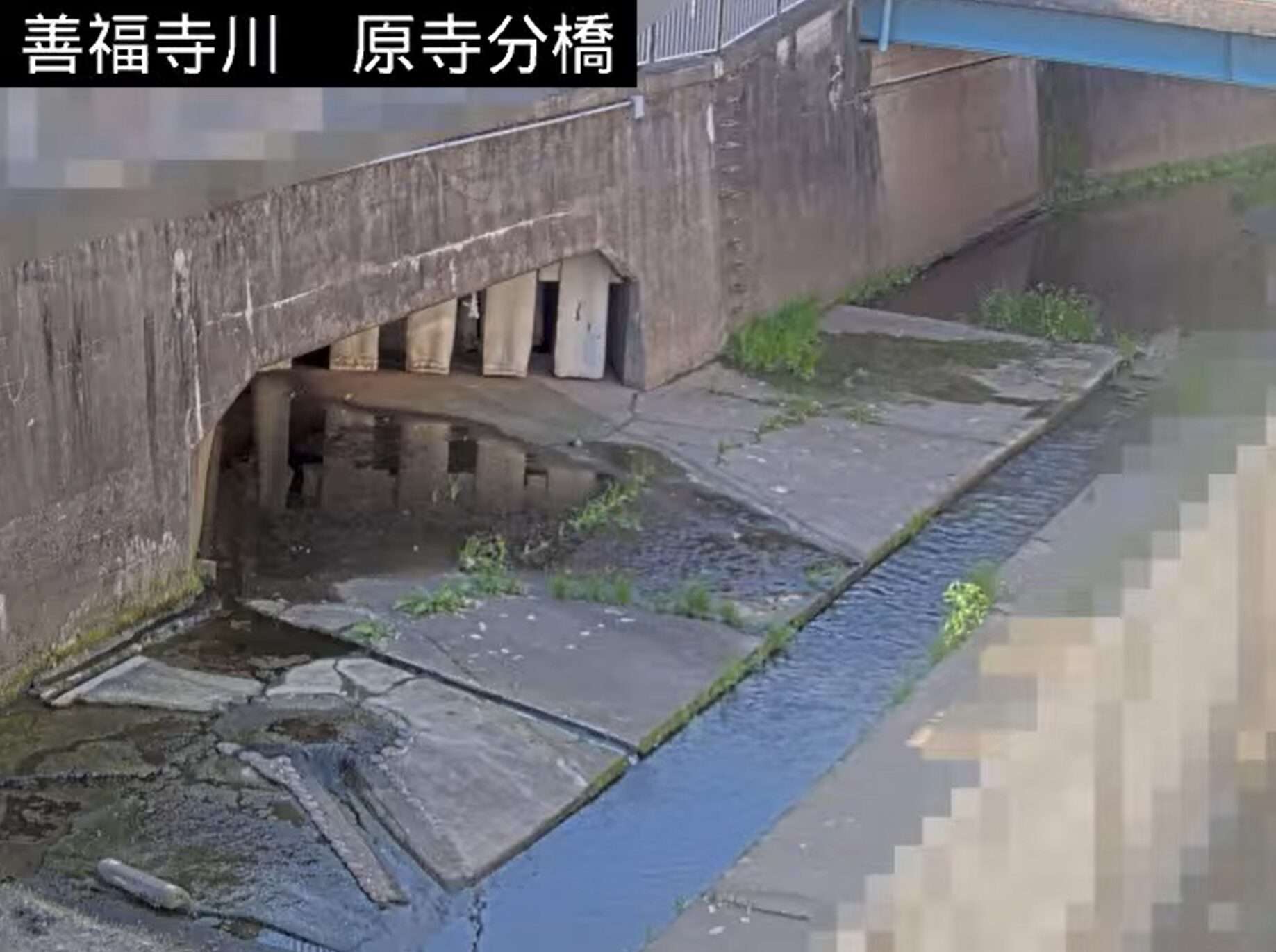 善福寺川原寺分橋ライブカメラ(東京都杉並区西荻北)
