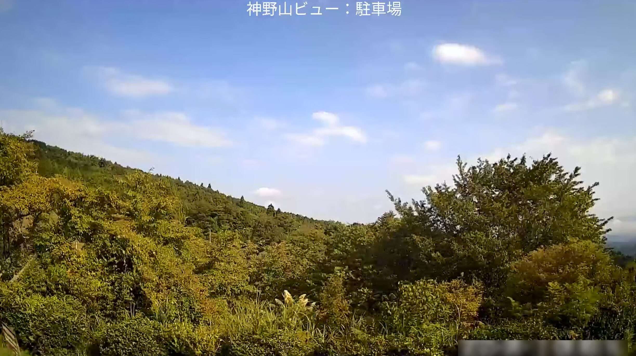 フォレストパーク神野山ライブカメラ(奈良県山添村伏拝)