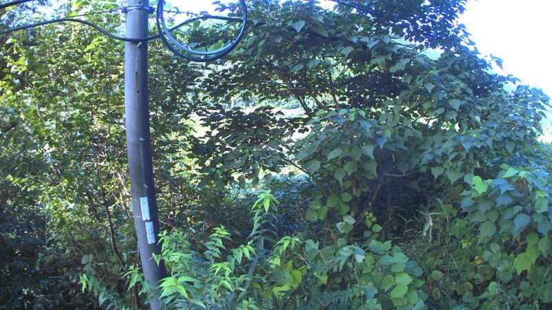 江の川信木ライブカメラ(広島県安芸高田市高宮町佐々部)