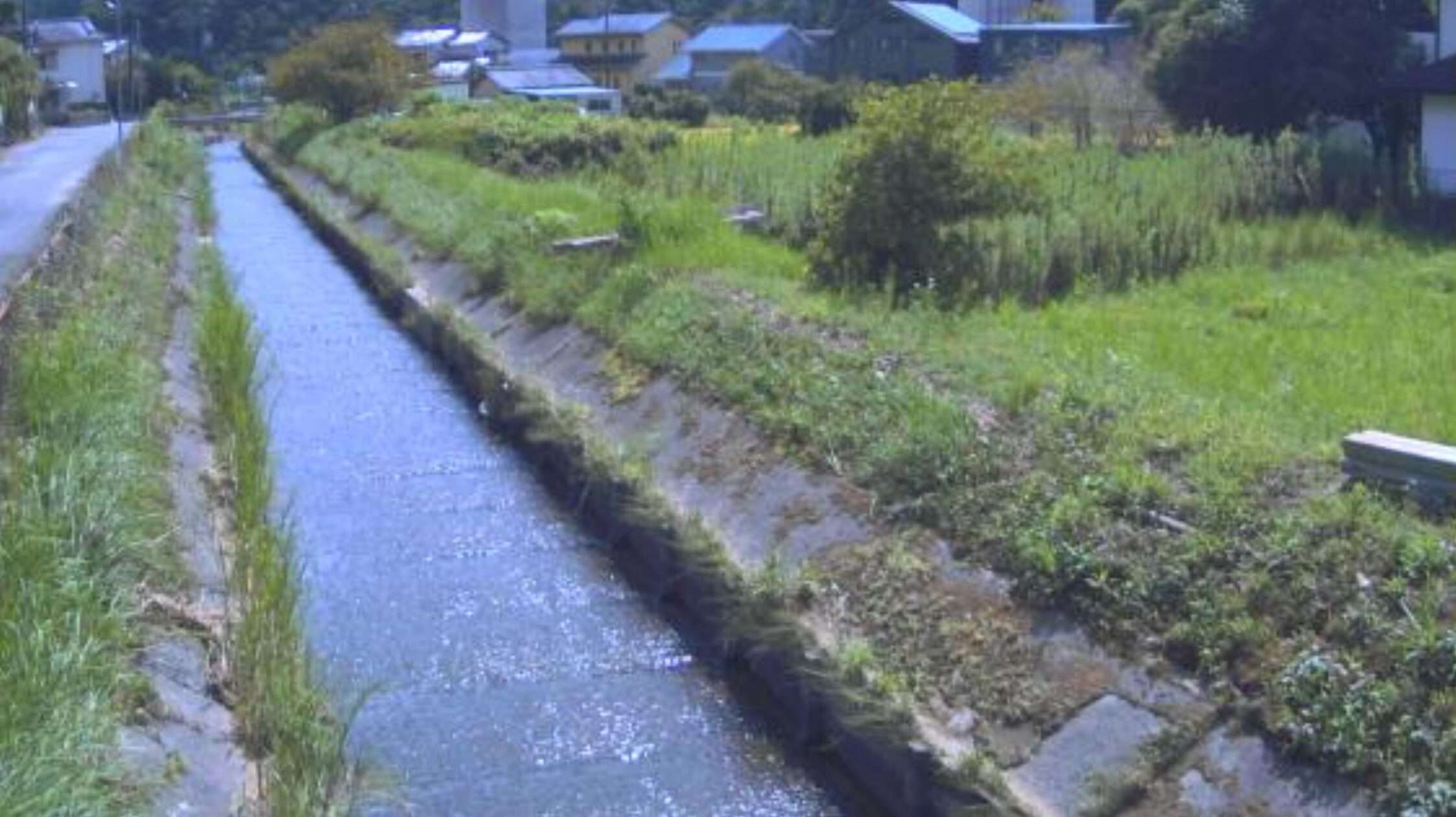 花倉川6104号橋ライブカメラ(静岡県藤枝市花倉)