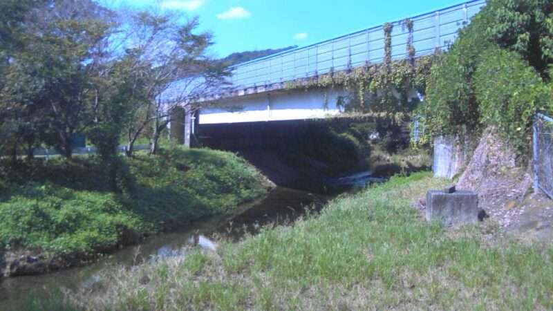 鉢地川保母町ライブカメラ(愛知県岡崎市保母町)