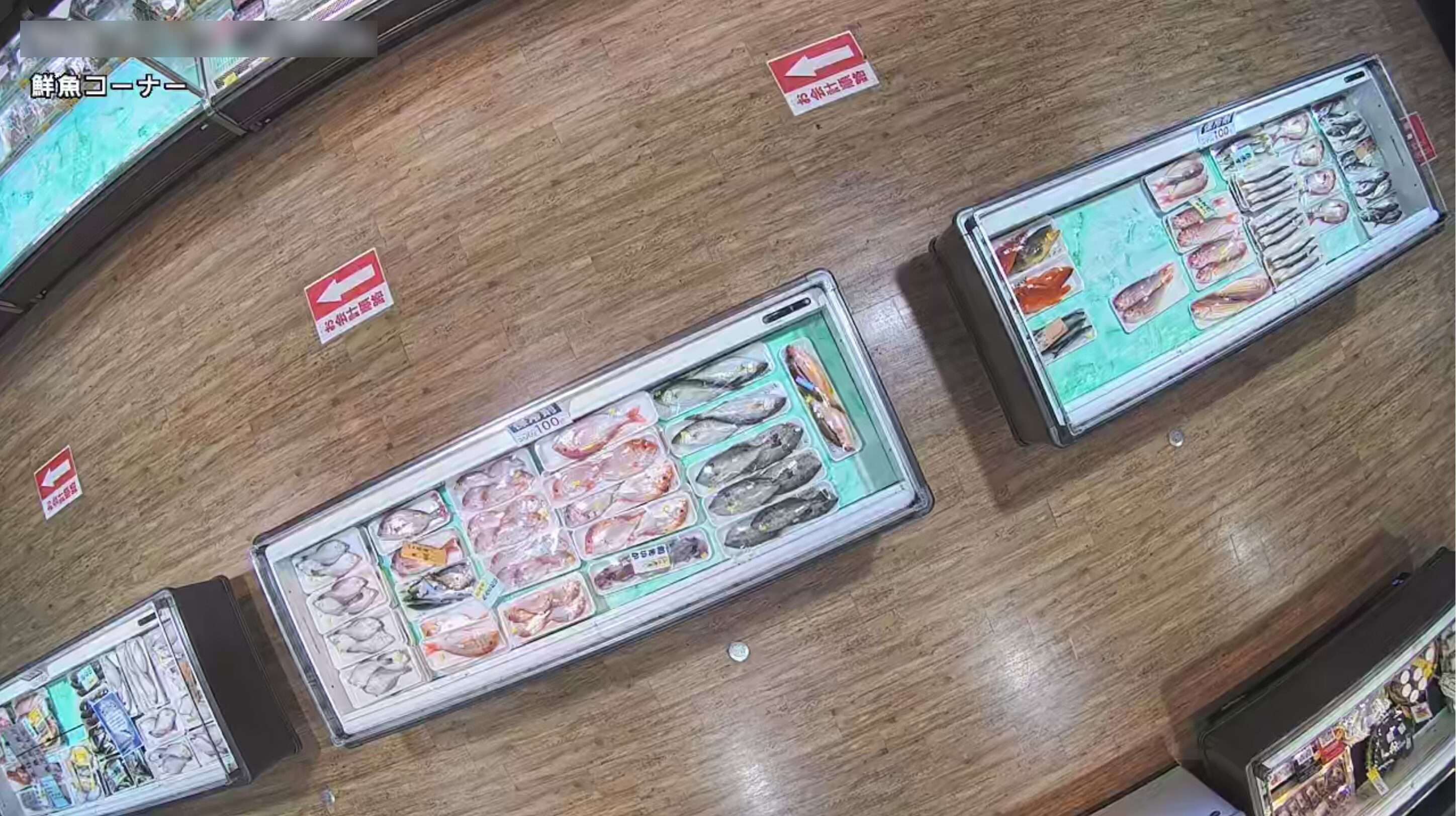 道の駅阿武町直売所鮮魚コーナーライブカメラ(山口県阿武町奈古)