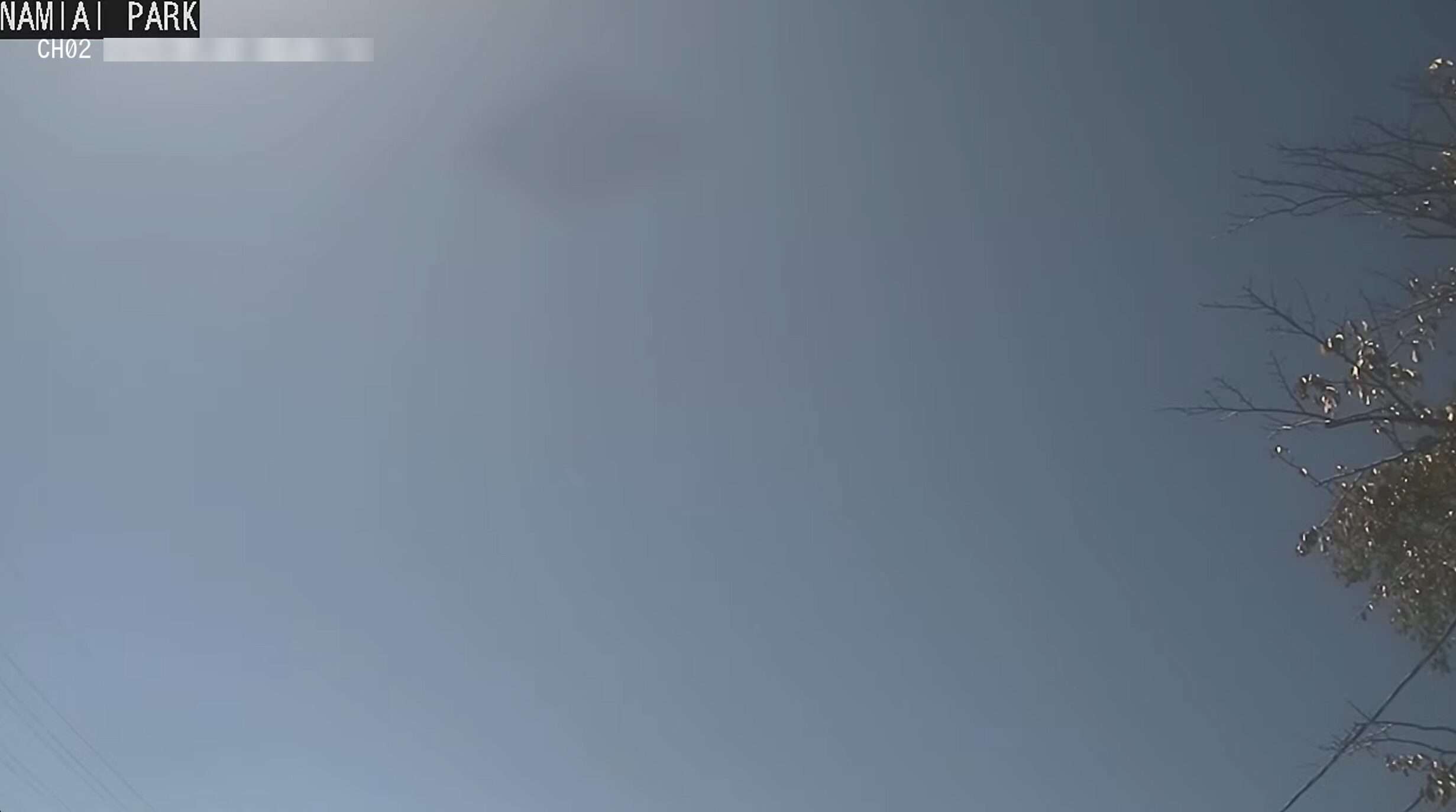 浪合パークライブカメラ(長野県阿智村浪合)