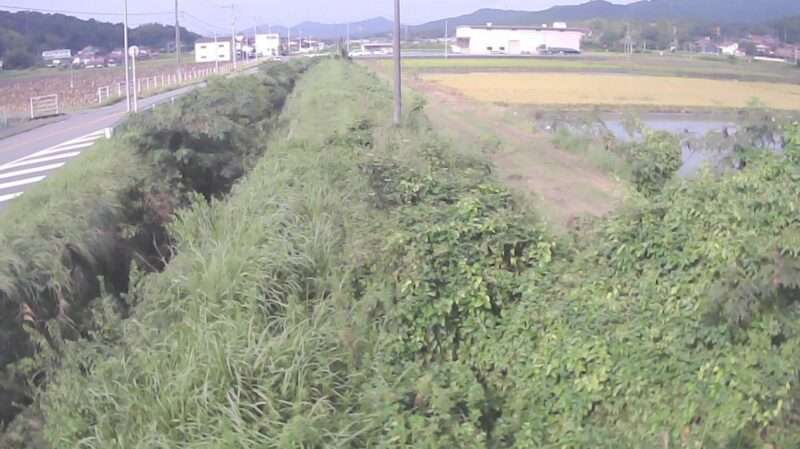 入野川高屋町大畠ライブカメラ(広島県東広島市高屋町大畠)
