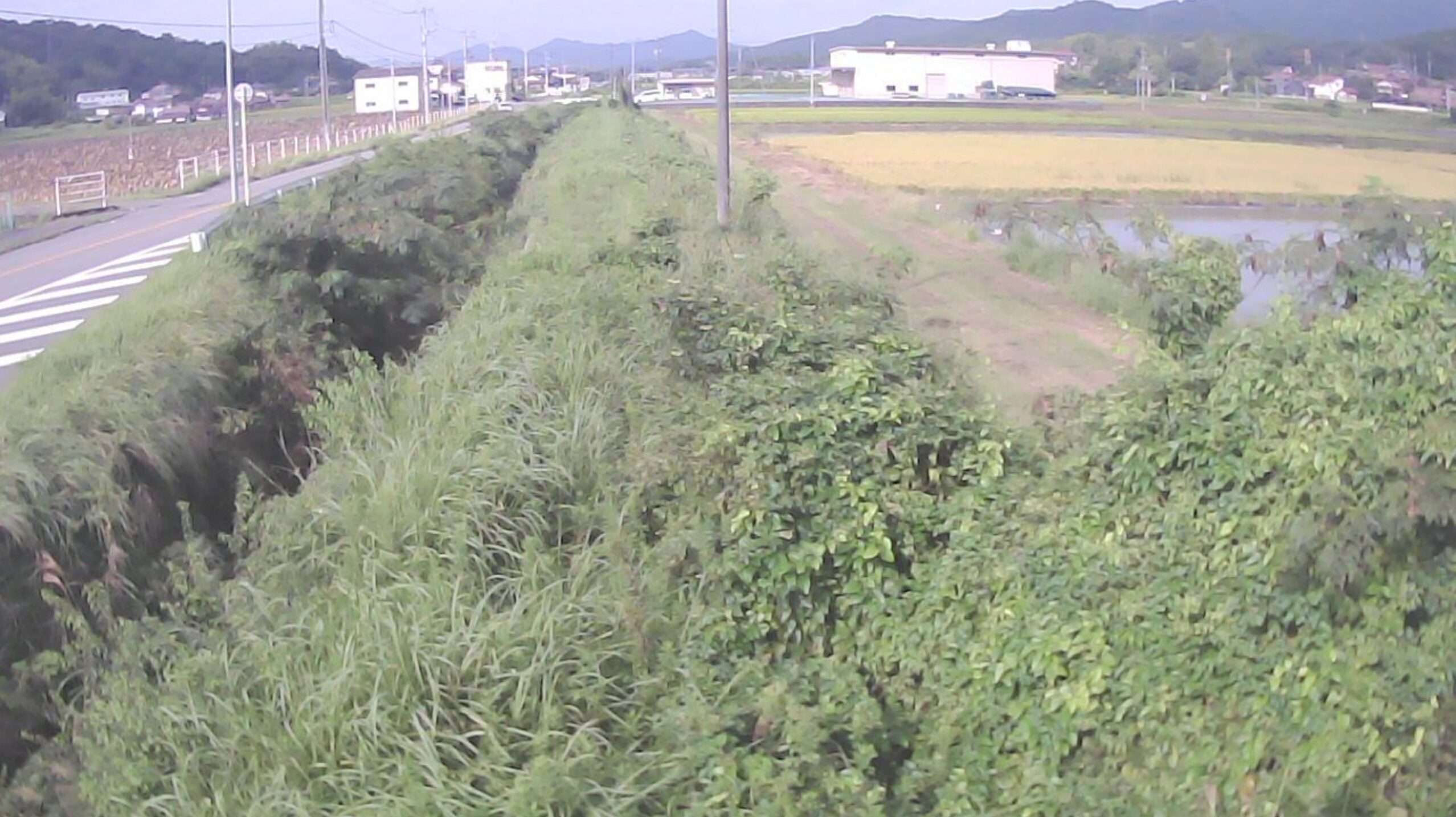 入野川高屋町大畠ライブカメラ(広島県東広島市高屋町大畠)