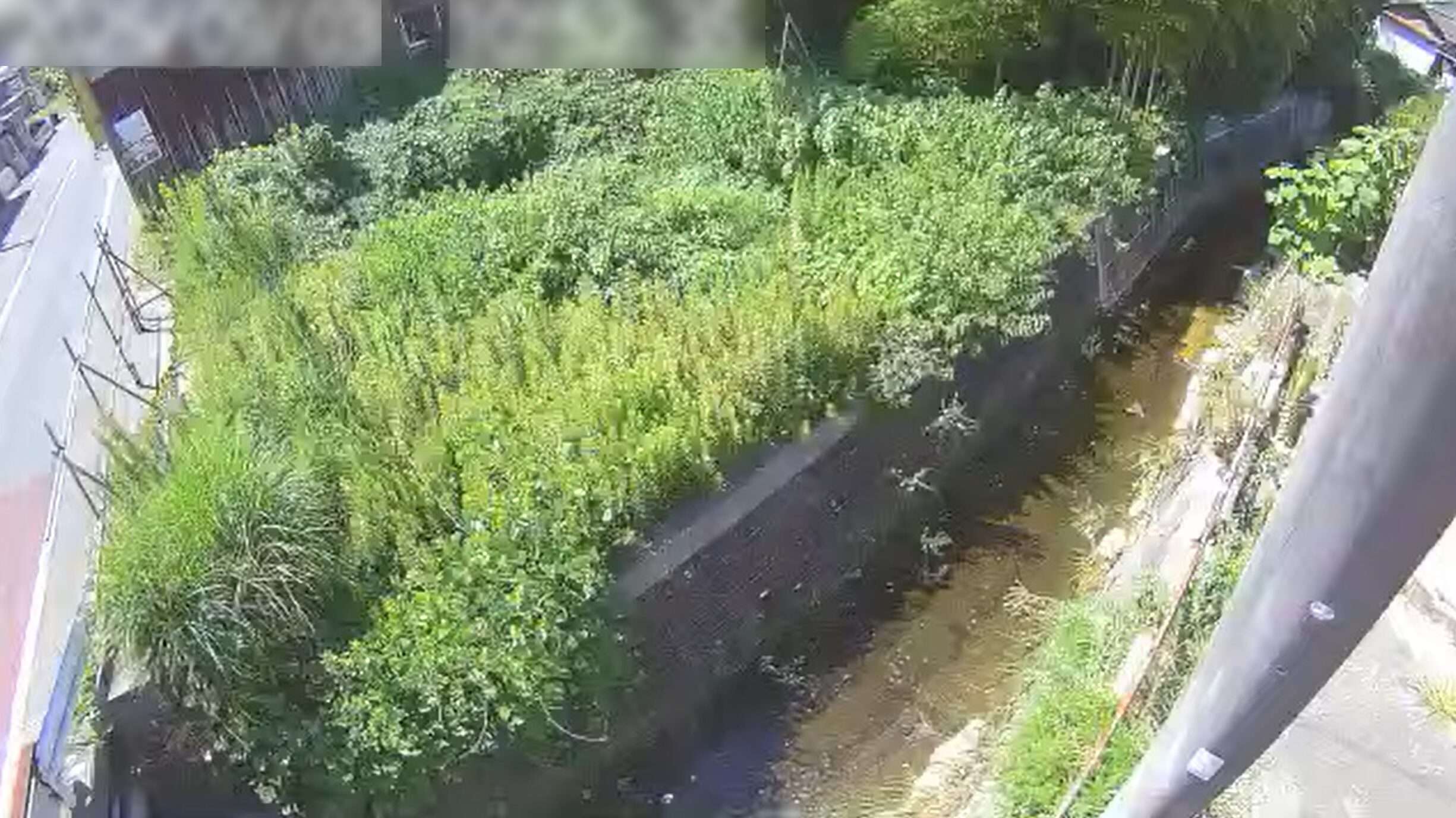 大川河原子町第1ライブカメラ(茨城県日立市河原子町)