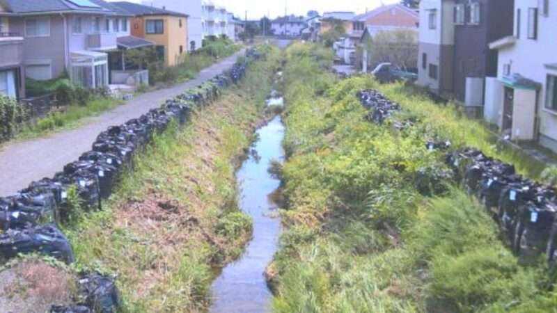 大溝川川原橋ライブカメラ(静岡県藤枝市時ケ谷)