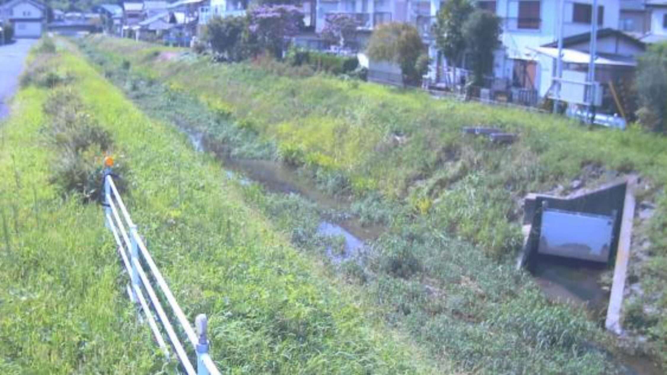 大溝川大橋橋ライブカメラ(静岡県藤枝市若王子)