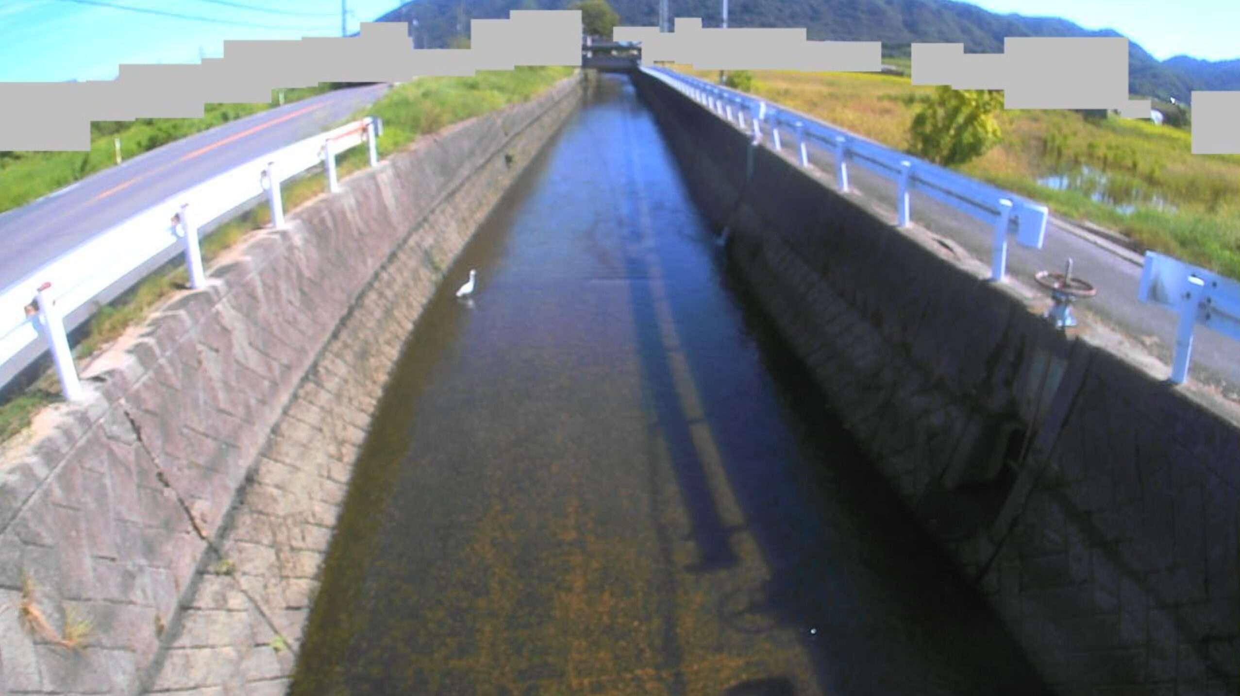 小山田川駅家町近田ライブカメラ(広島県福山市駅家町近田)