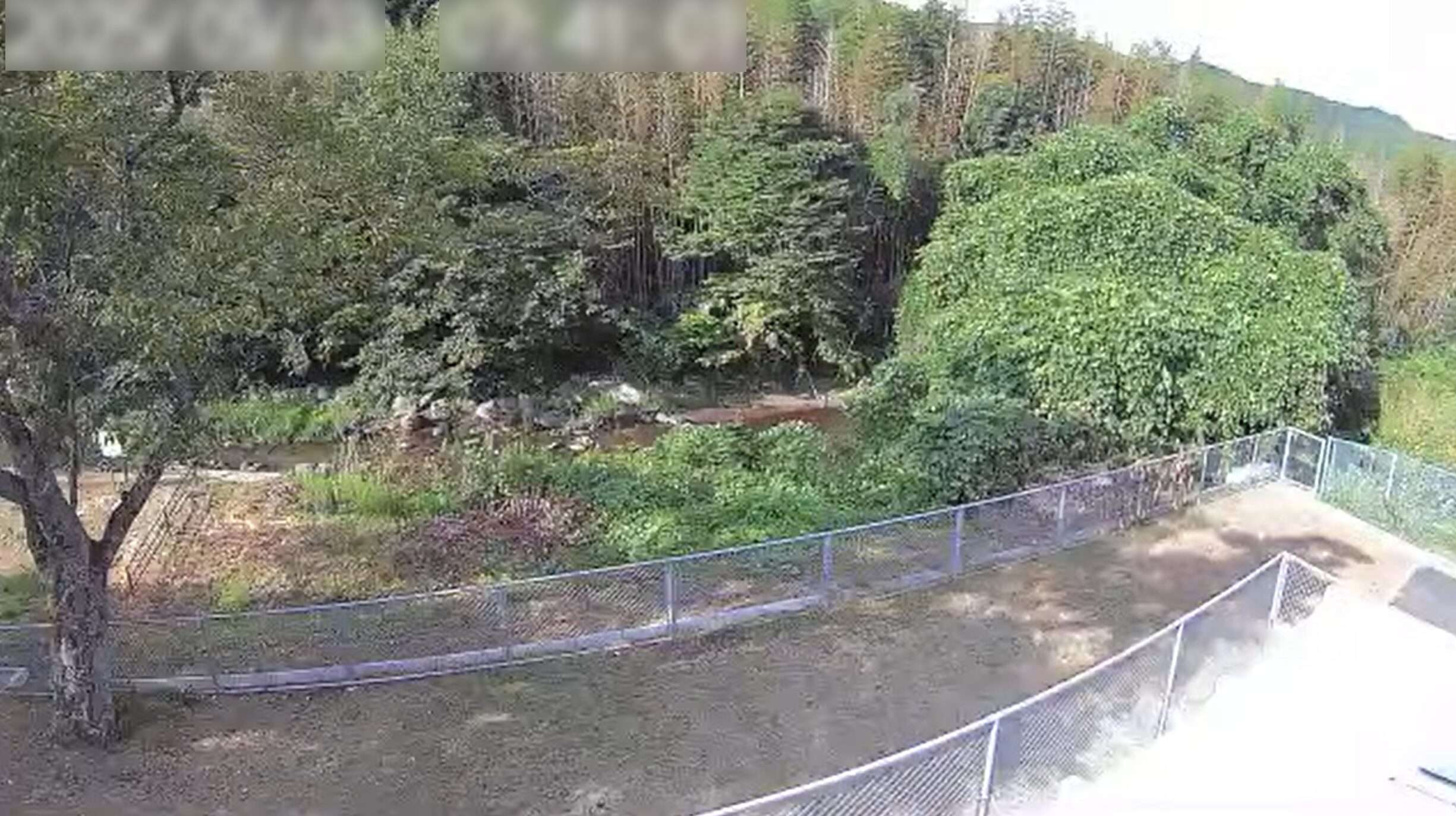 里川東河内町ライブカメラ(茨城県日立市東河内町)