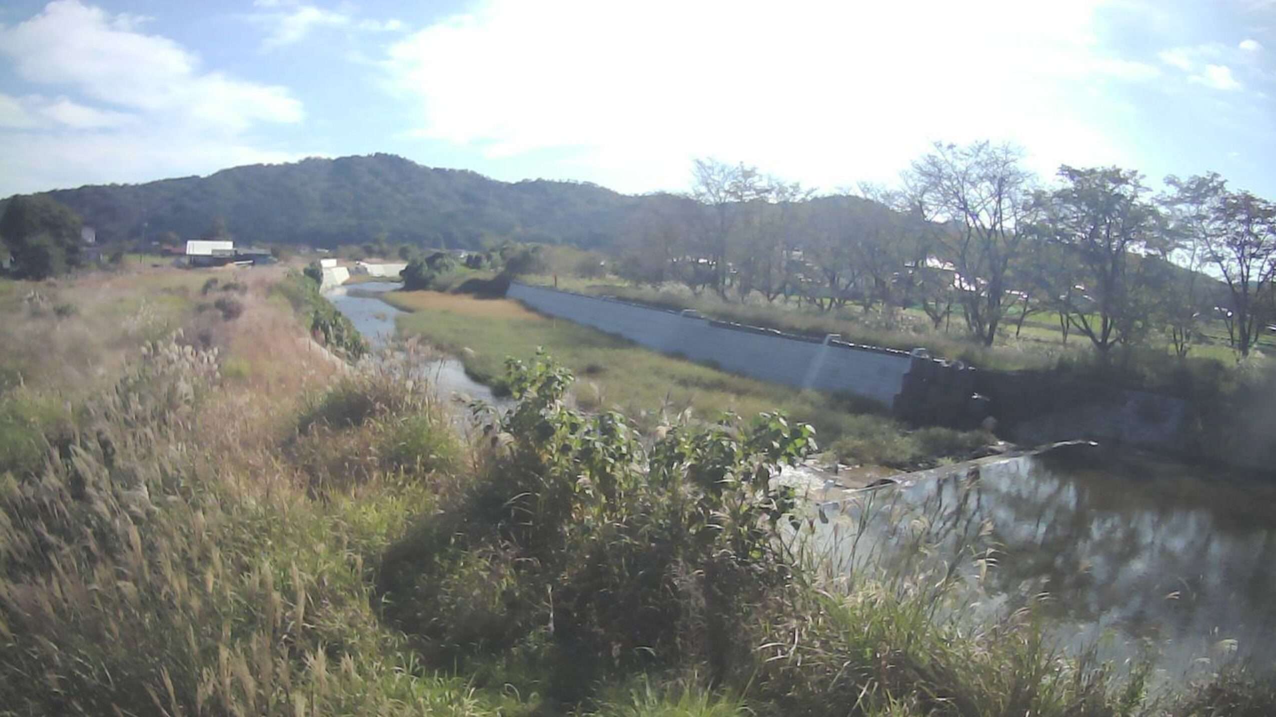 多治比川吉田町多治比ライブカメラ(広島県安芸高田市吉田町多治比)