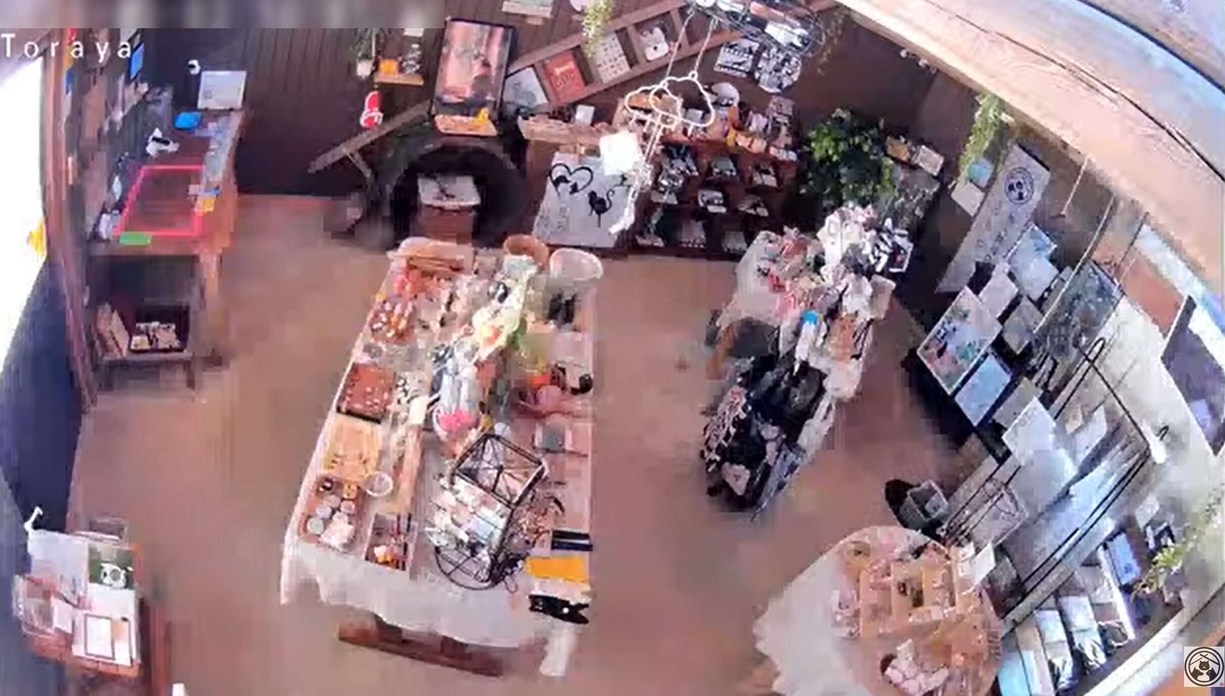 とらや店内ライブカメラ(山口県美祢市秋芳町岩永本郷)