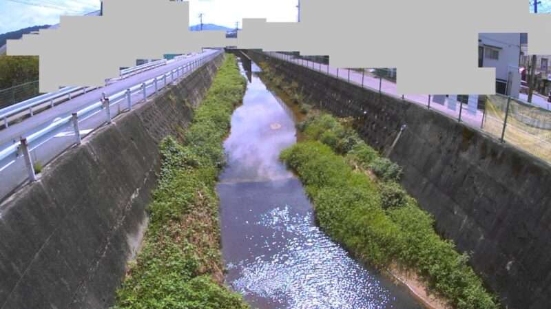八幡川府中大通ライブカメラ(広島県府中町大通)