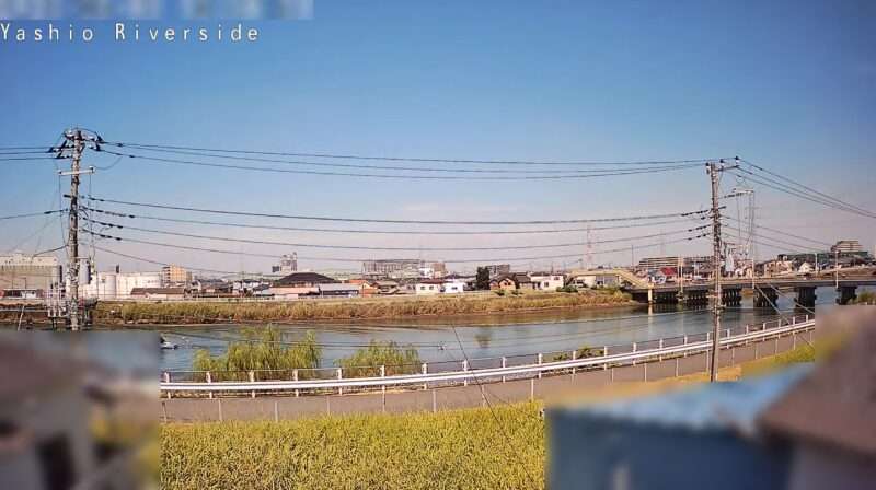 八潮市中川ライブカメラ(埼玉県八潮市)