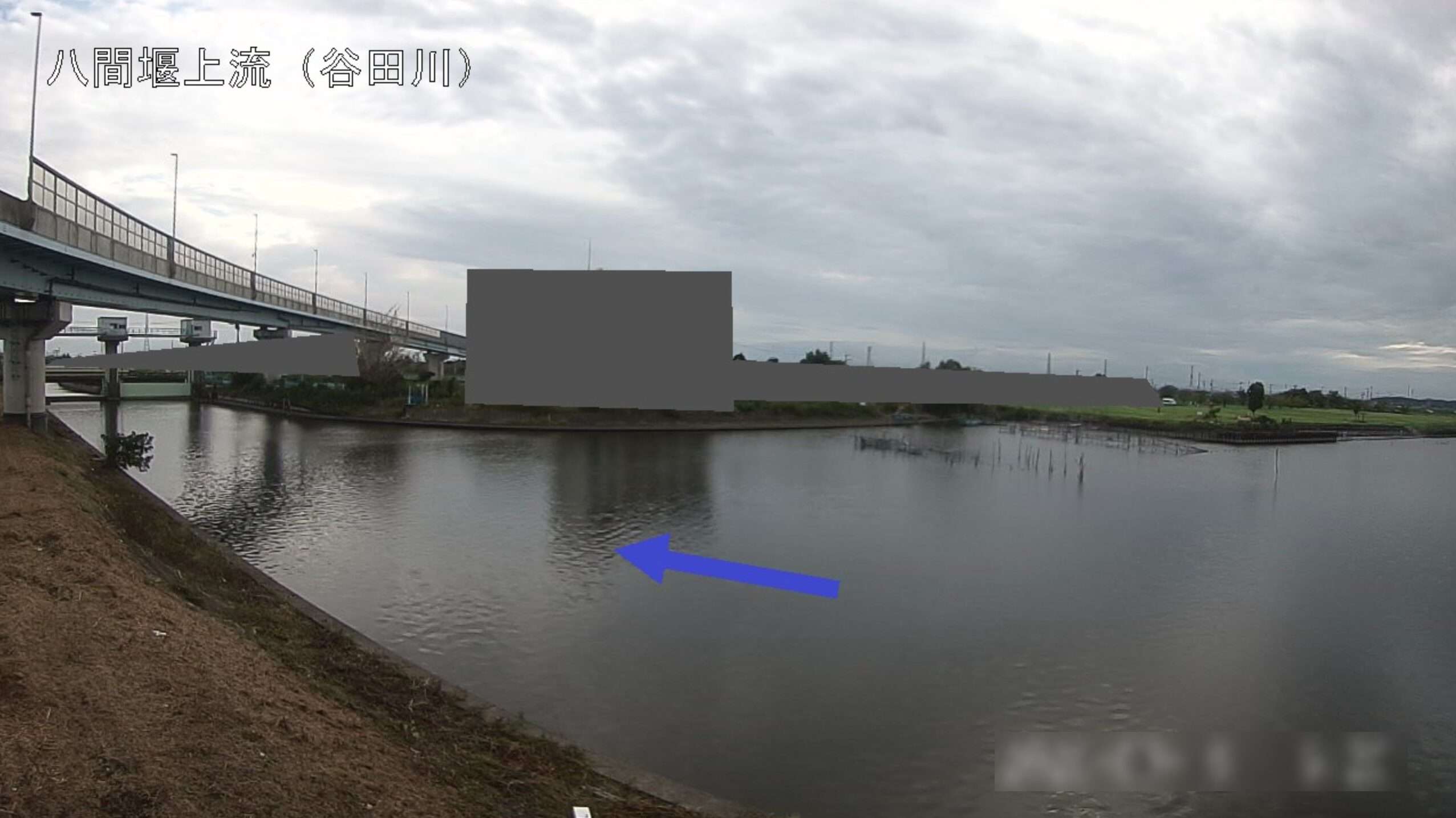谷田川八間堰上流ライブカメラ(茨城県龍ケ崎市佐貫町)