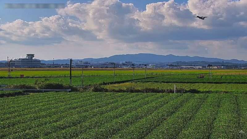 今村茶園ライブカメラ(鹿児島県霧島市隼人町嘉例川)