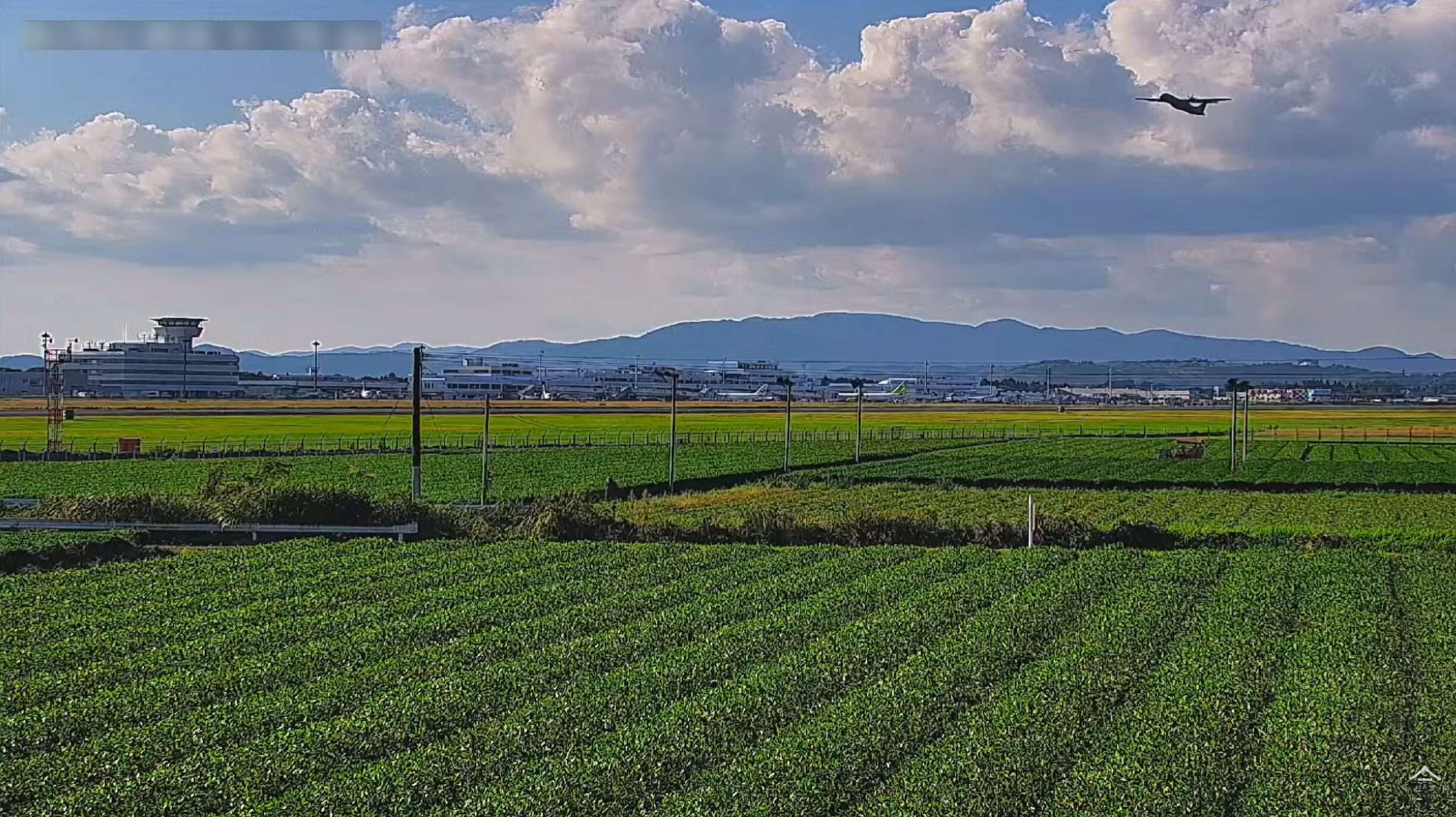 今村茶園ライブカメラ(鹿児島県霧島市隼人町嘉例川)