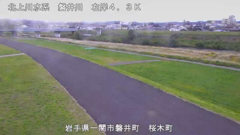 磐井川桜木町ライブカメラ(岩手県一関市磐井町)