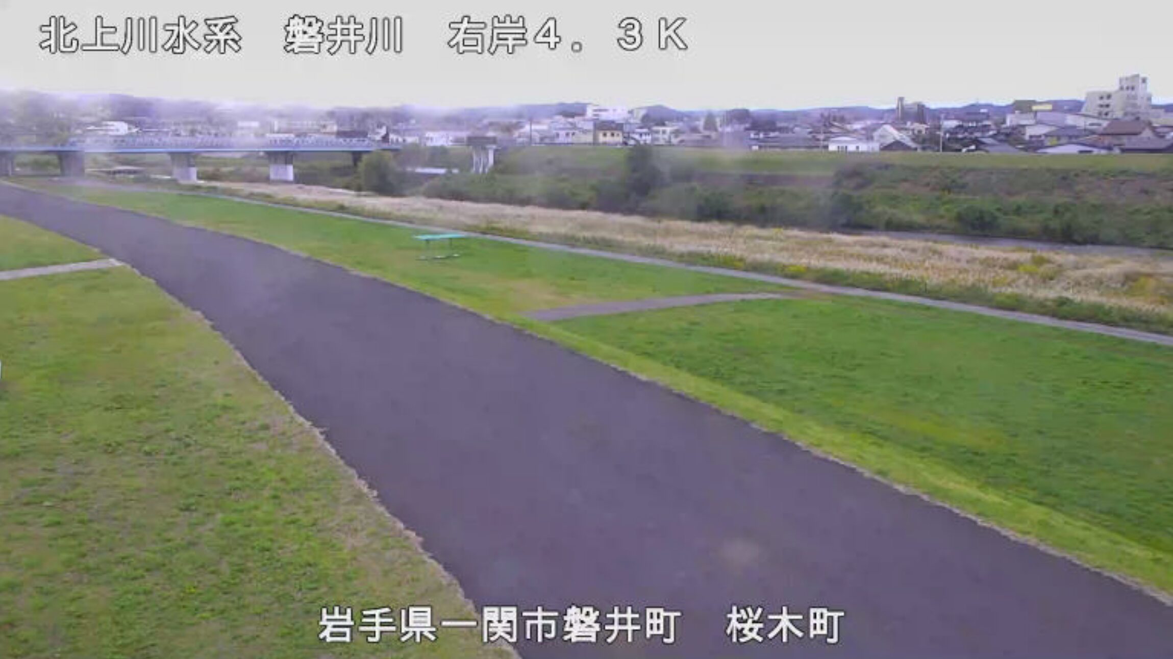 磐井川桜木町ライブカメラ(岩手県一関市磐井町)