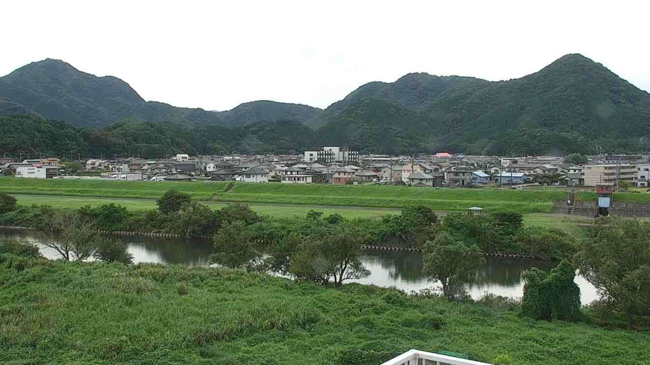狩野川かわせみライブカメラ(静岡県清水町的場)