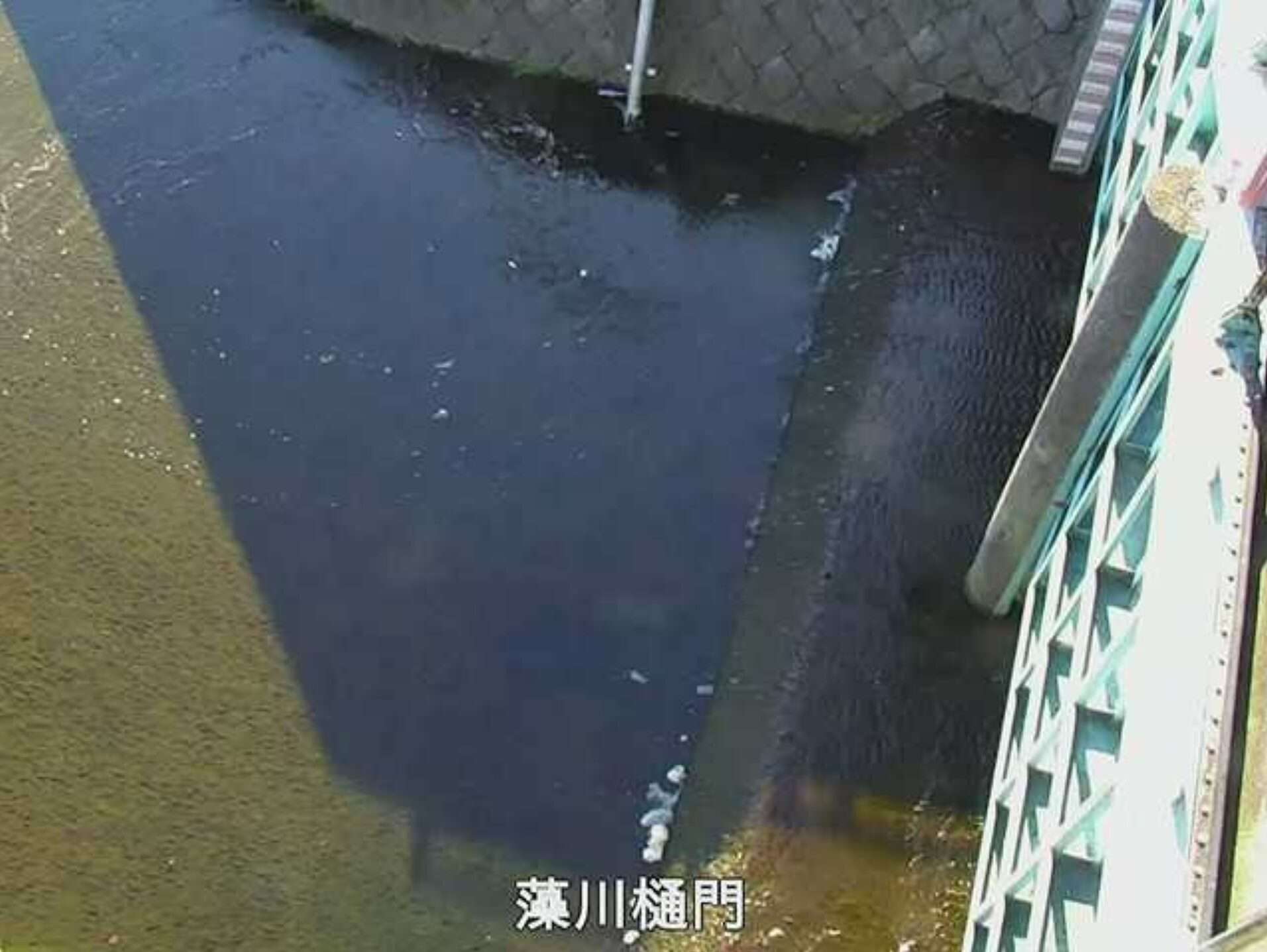 昆陽捷水路昆陽川排水機場ライブカメラ(兵庫県尼崎市猪名寺)