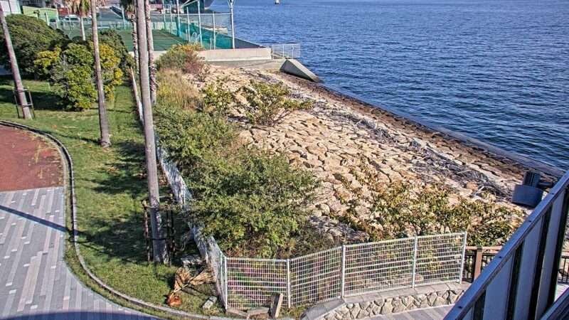 六甲アイランドマリンパーク第4ライブカメラ(兵庫県神戸市東灘区向洋町東)