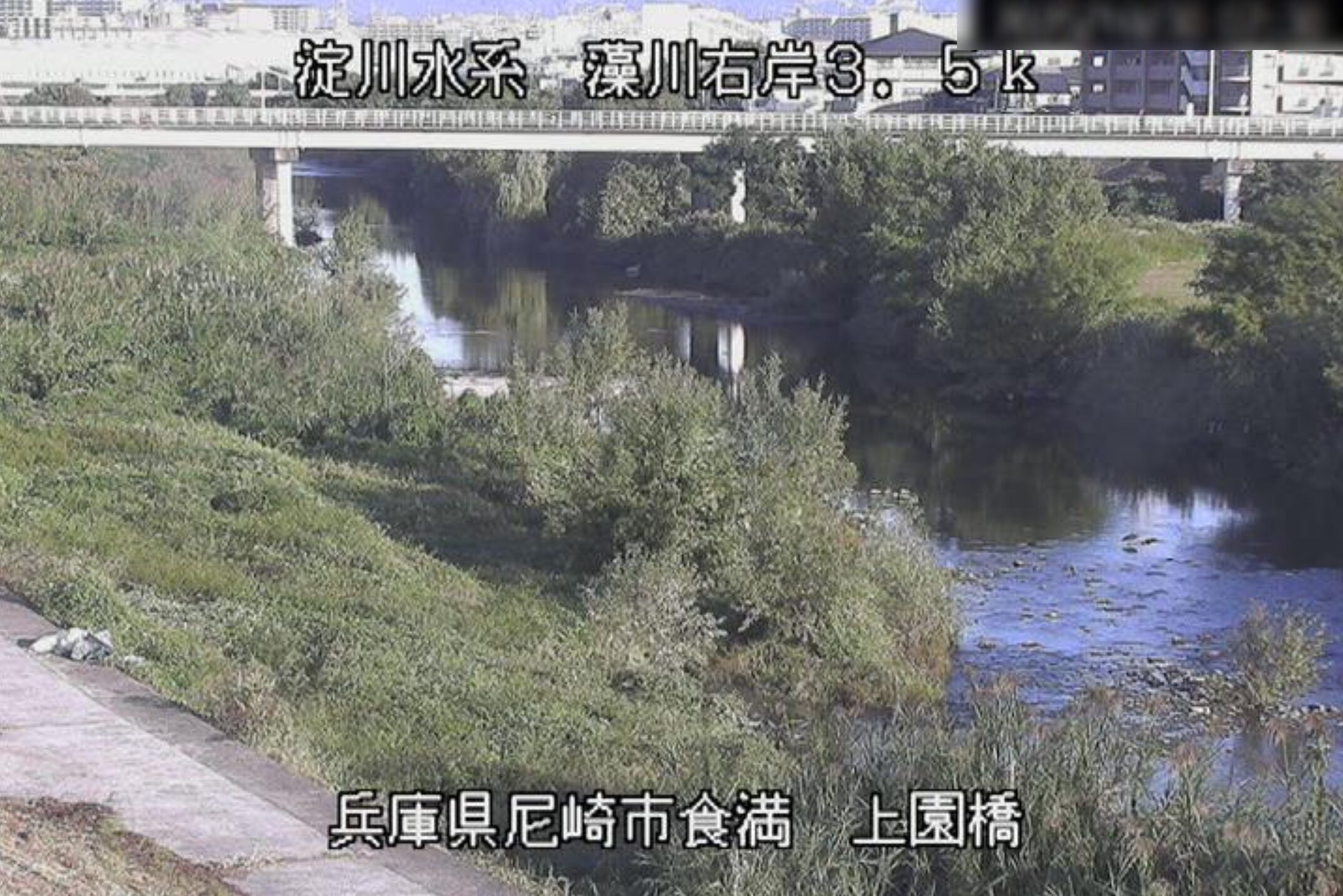 藻川上園橋ライブカメラ(兵庫県尼崎市食満)