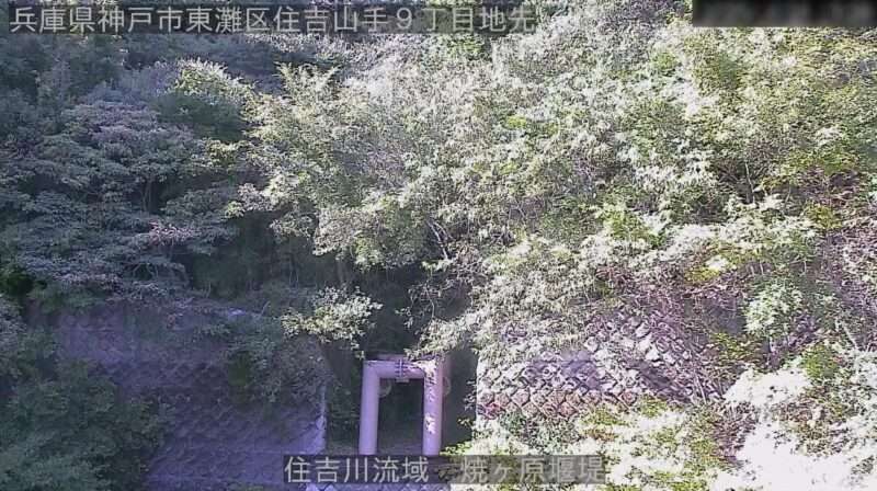 西谷川焼ヶ原堰堤ライブカメラ(兵庫県神戸市東灘区住吉山手)