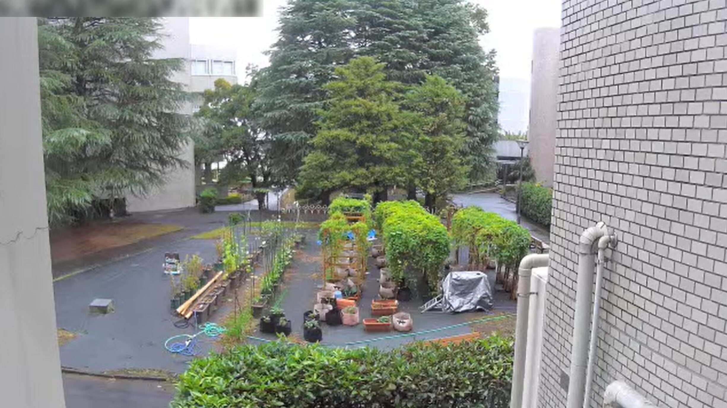 専修大学ホッププロジェクトライブカメラ(東京都千代田区神田神保町)