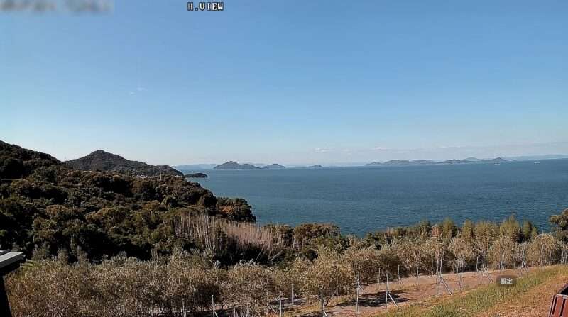 ่ๅ
ๅๅณถใชใชใผใ่พฒๅใฉใคใใซใกใฉ(้ฆๅท็ไธ่ฑๅธ่ฉซ้็บ็ฉ)