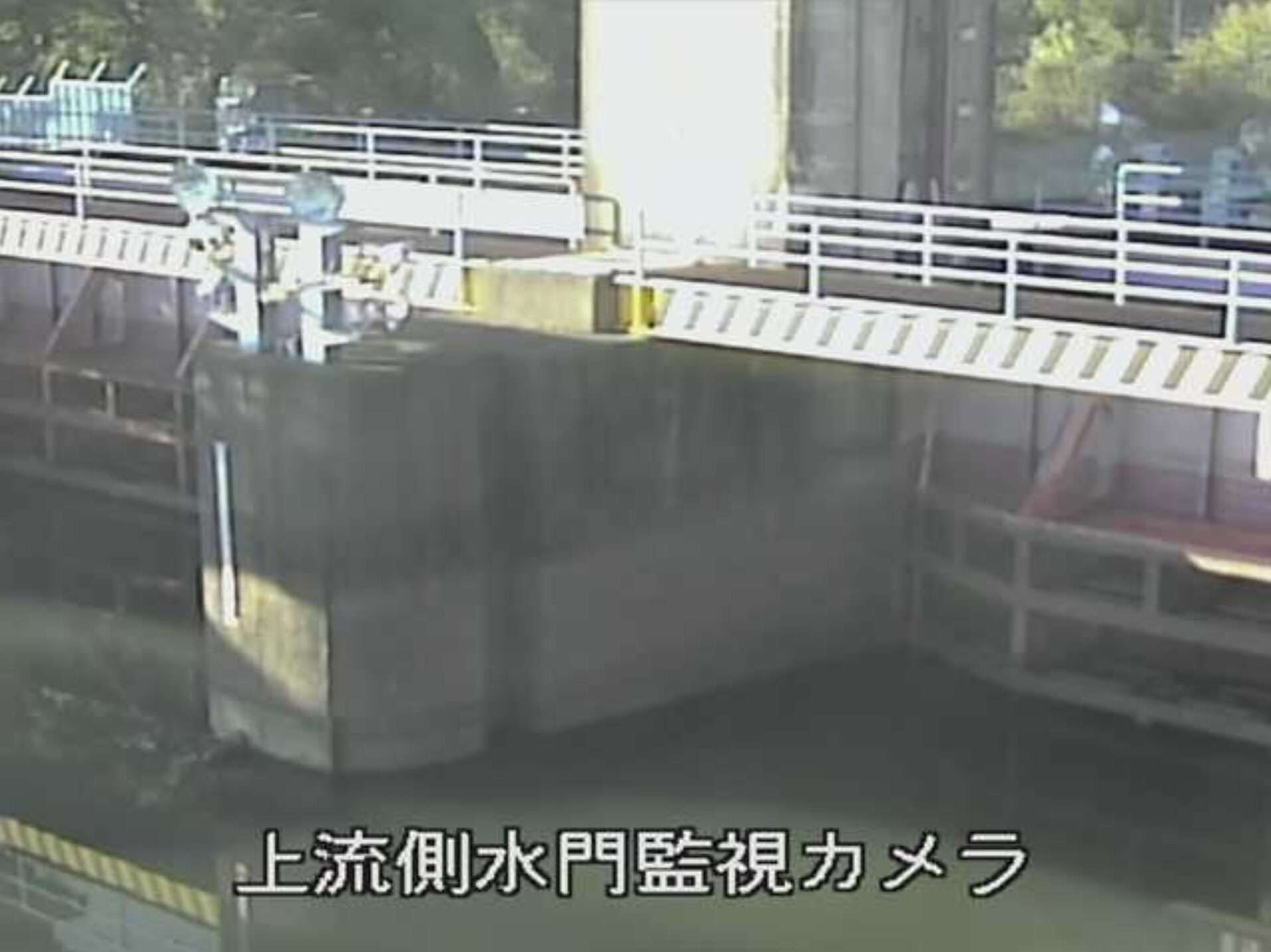 庄下川庄下川水門ライブカメラ(兵庫県尼崎市中在家町)