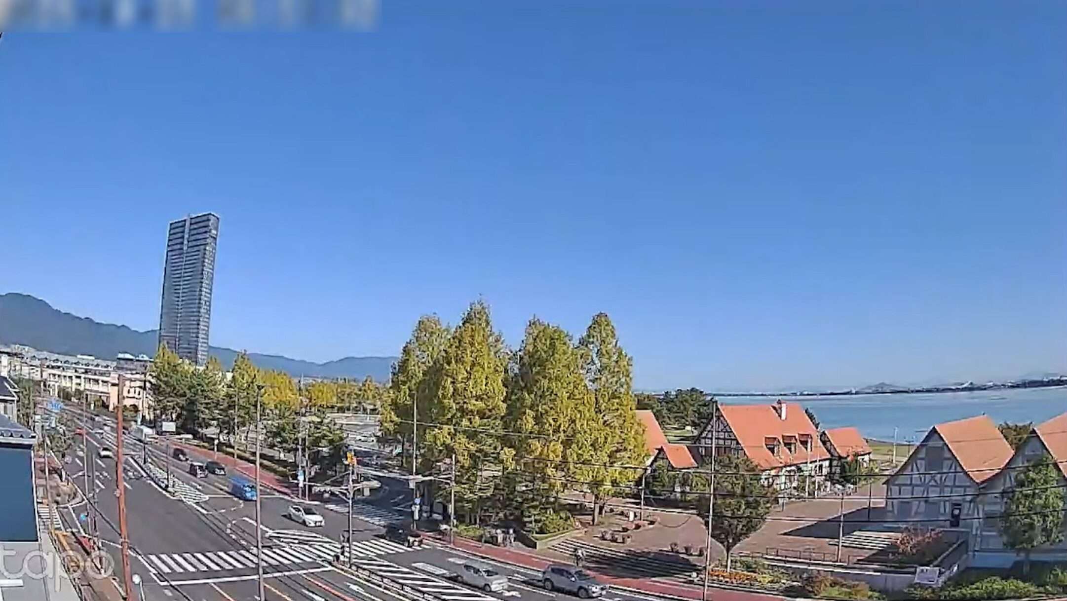 タマキトラストブレインライブカメラ(滋賀県大津市木下町)