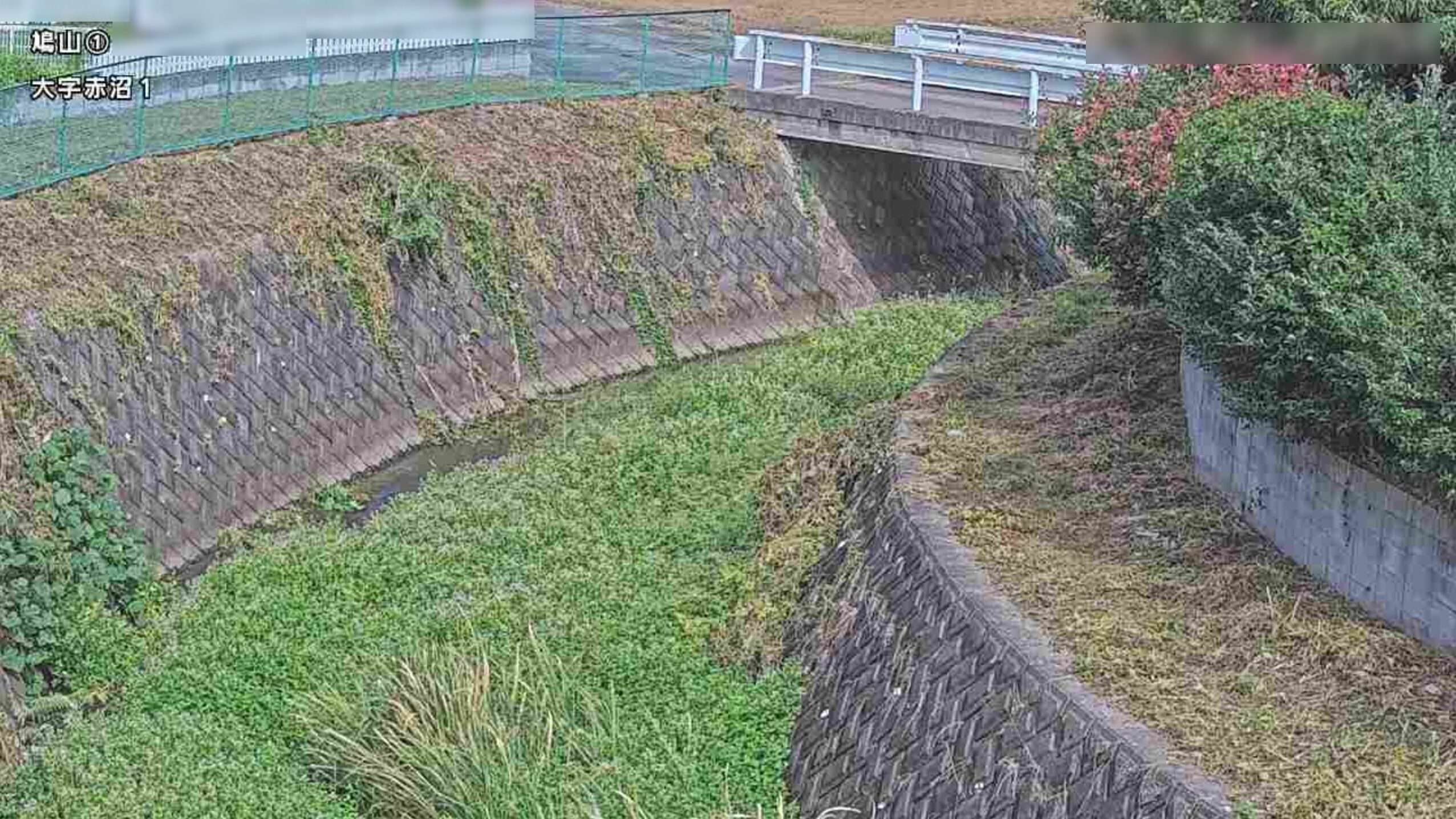 内川鳩川合流部上流ライブカメラ(埼玉県鳩山町赤沼)