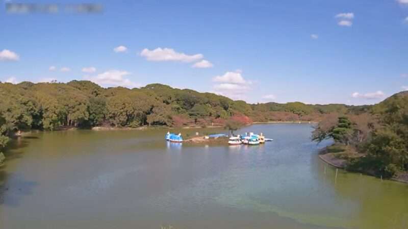 明石公園剛ノ池ライブカメラ(兵庫県明石市明石公園)