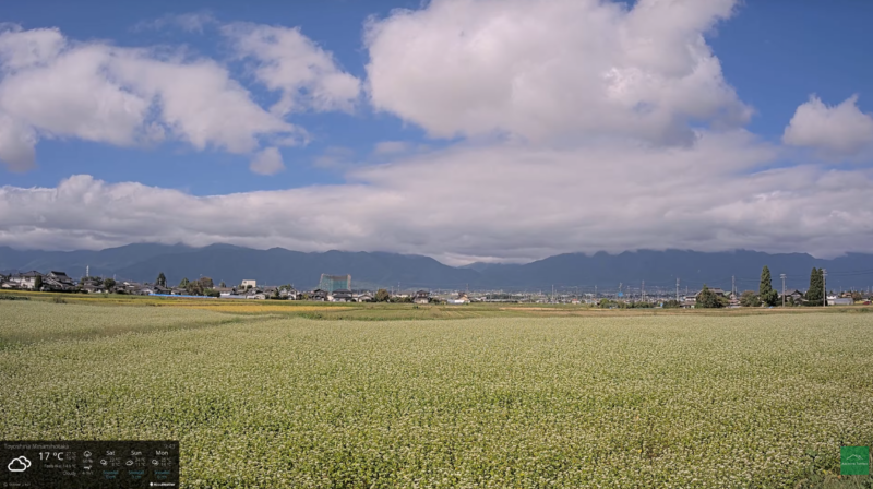 あづみのテラス常念山脈ライブカメラ(長野県安曇野市豊科南穂高) 2026年10月2日 そばの花満開