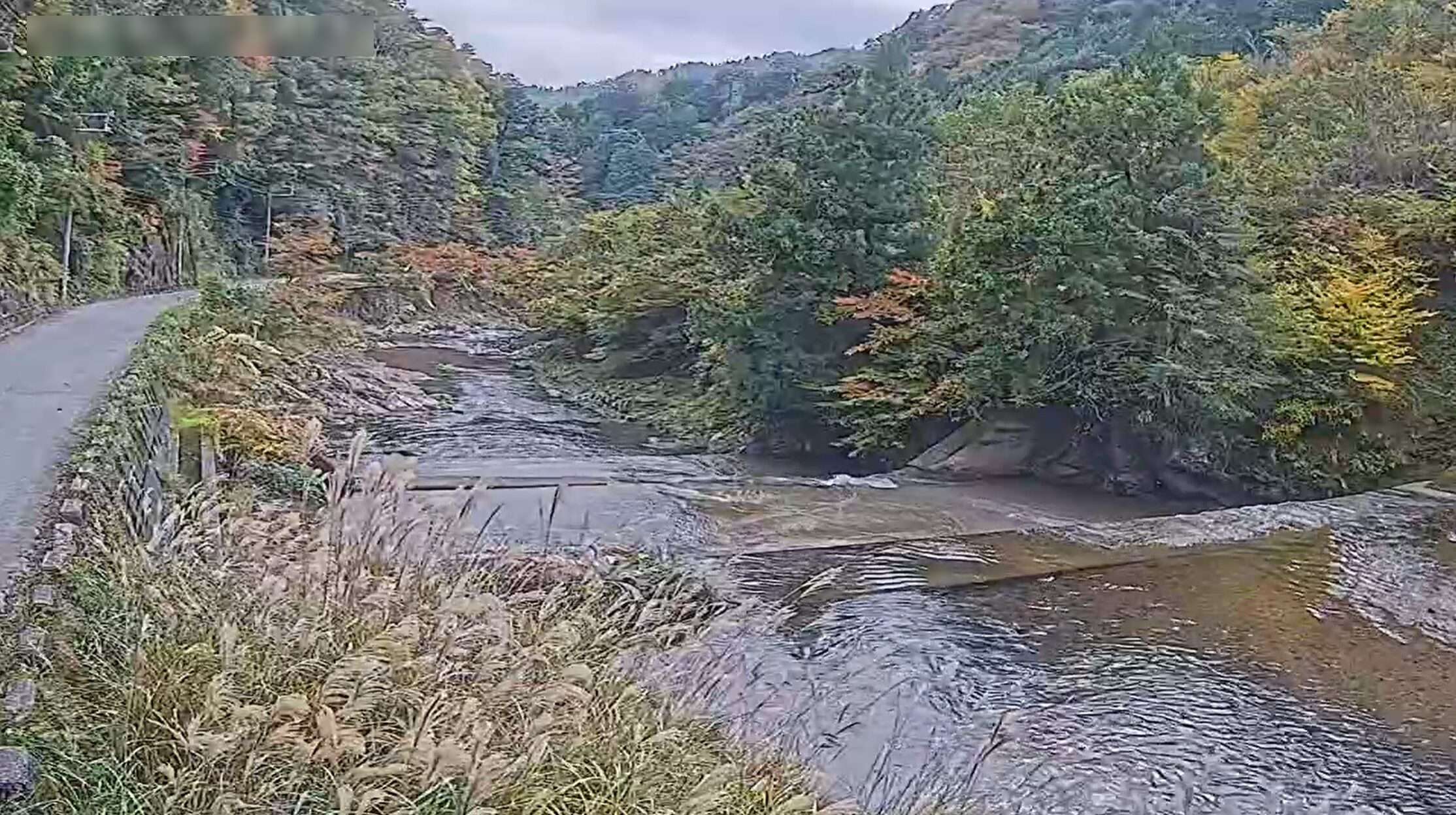 川原樋川ホタルの郷ライブカメラ(奈良県野迫川村北今西)