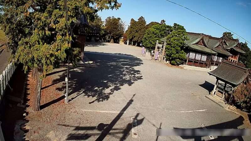 ๅฝๅฎๅคฉๆบ็ฅ็คพๅขๅ
ใฉใคใใซใกใฉ(ๅ
ตๅบซ็็จฒ็พ็บๅฝๅฎ)