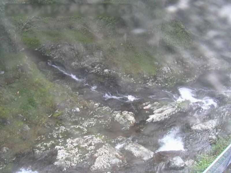 ็งๅ
ๅฏบใฉใคใใซใกใฉ(ๅฅ่ฏ็้ปๆปๆๆงๅฐพ)